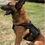 WHISPER ultralicht tactisch harnas - Recon K9