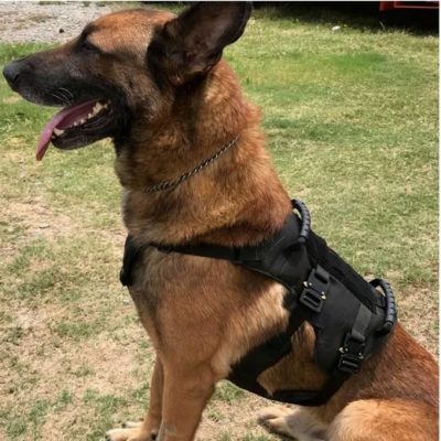 WHISPER ultralicht tactisch harnas - Recon K9