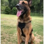 WHISPER ultralicht tactisch harnas - Recon K9