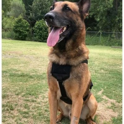 WHISPER ultralicht tactisch harnas - Recon K9