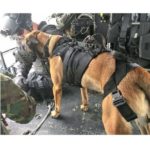 verybig-5568-5 RECON-K9 OPERATOR-harnas voor honden Zwart