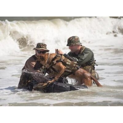 Recon K9 Amfibisch hondenondersteuningssysteem - OTB