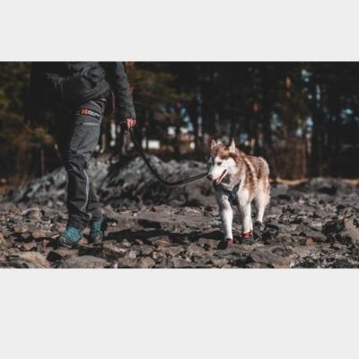 Non-Stop Dogwear Protector Bootie Modder