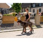 Non-Stop Dogwear Protector Bootie